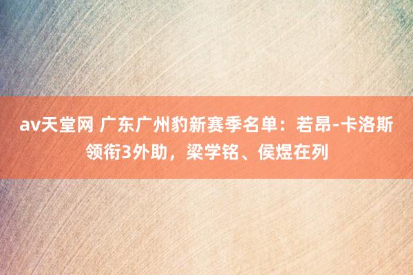 av天堂网 广东广州豹新赛季名单：若昂-卡洛斯领衔3外助，梁